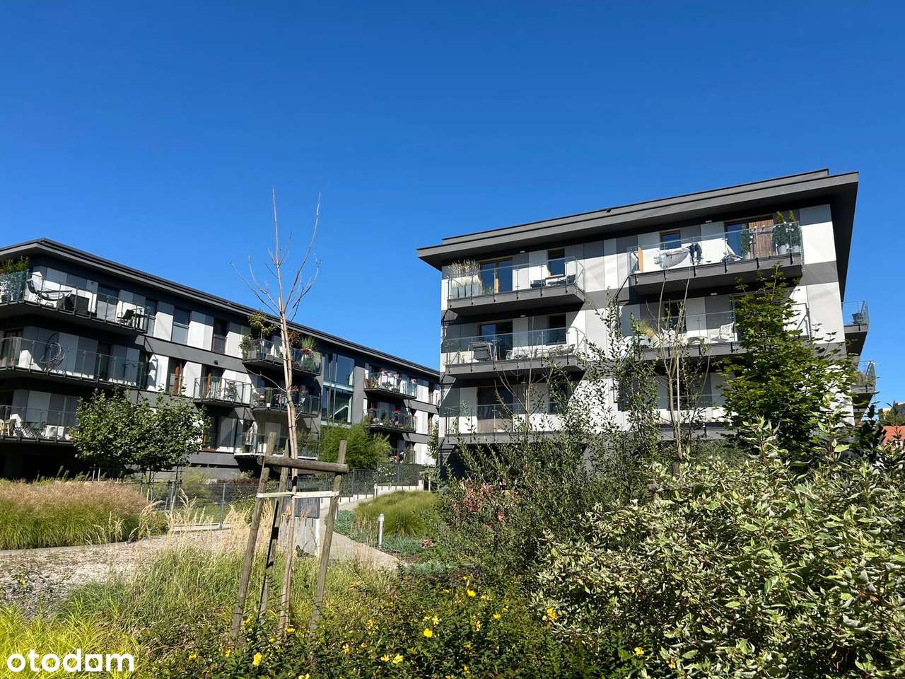 Nowoczesny apartament o wysokim standardzie na Sołaczu! - Pełny obrazek: 4/20