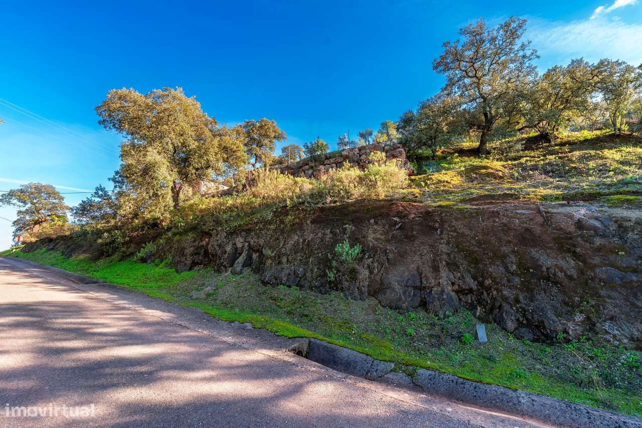 Terreno  Venda em Querença, Tôr e Benafim,Loulé-12