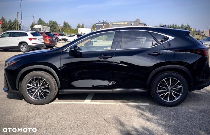 Lexus NX 350h - 7