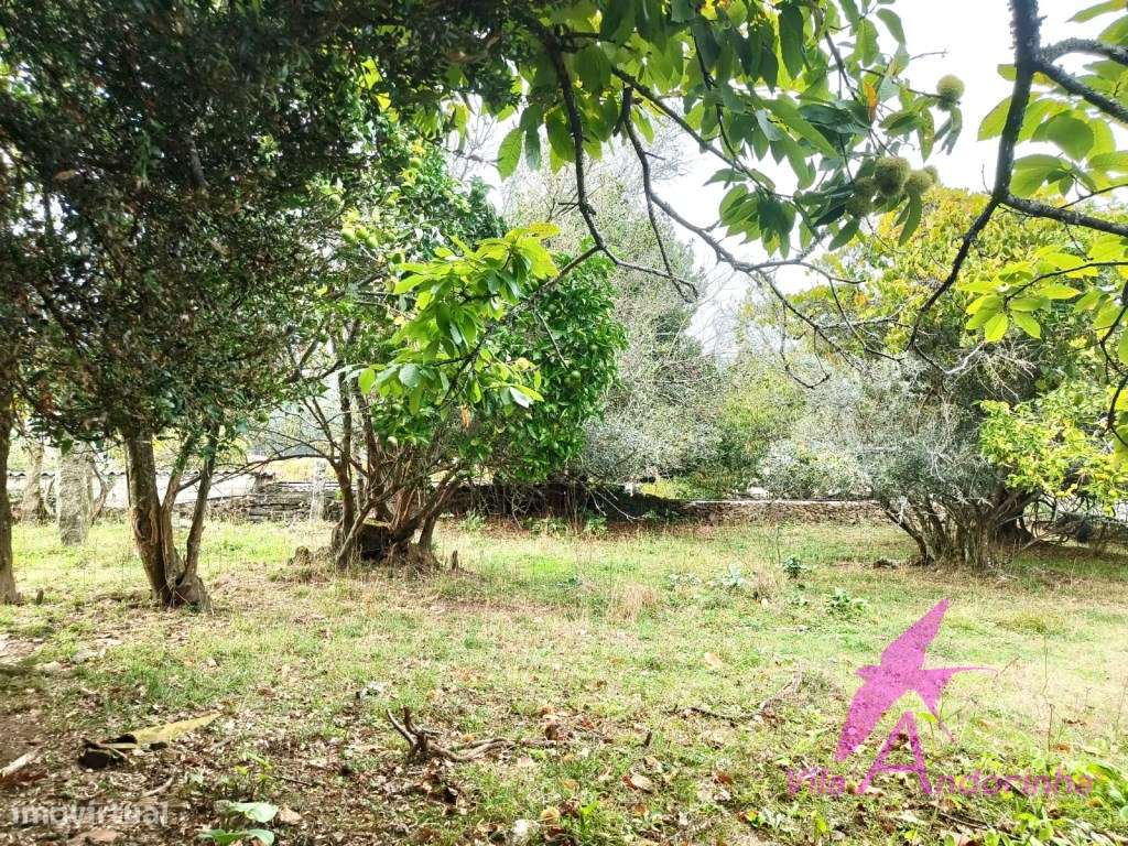 Terreno com Anexo em Pedra em Samonde - Santa Marta de Portuzelo-7