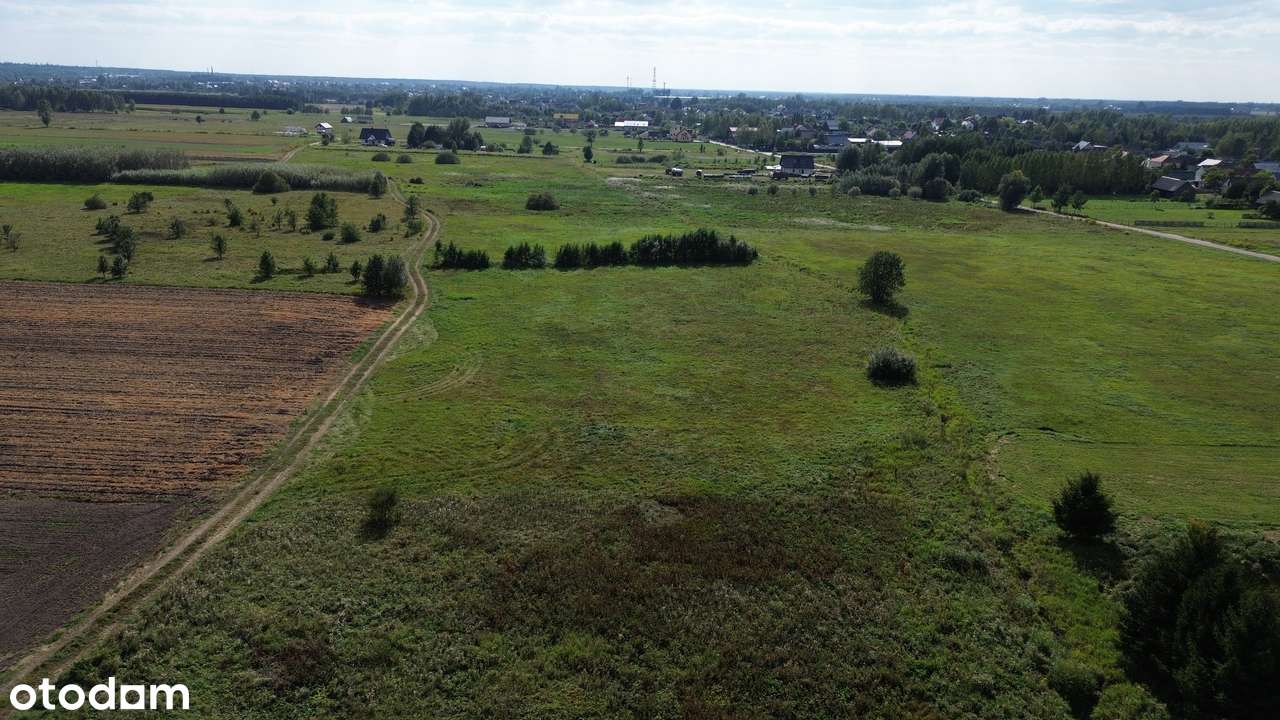 Dubiny - Działka rolna 4713 m² - łąka - pod wypoczynek - Pełny obrazek: 5/10