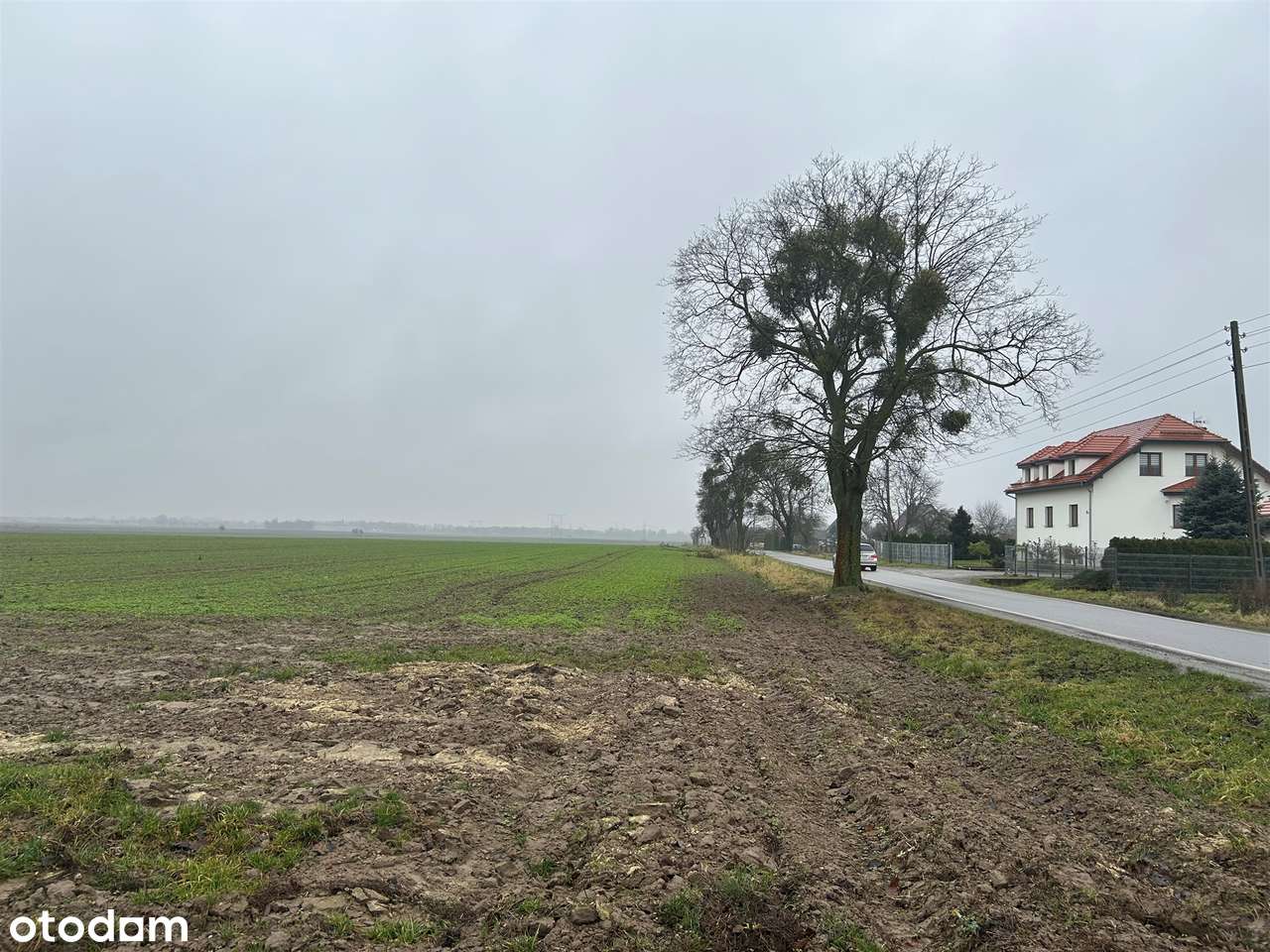 Działka budowlana  Stępin - Pełny obrazek: 4/16