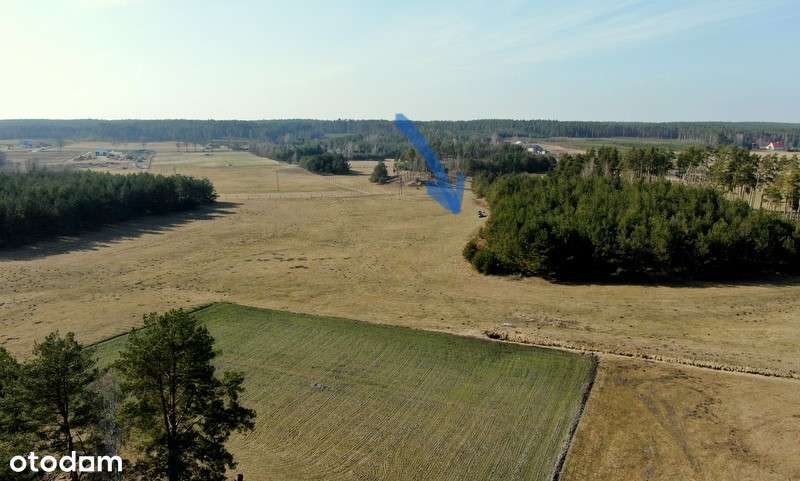 Atrakcyjna działka budowlana blisko natury i jezior - Pełny obrazek: 5/12