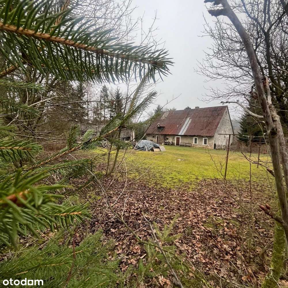 Dom -zaledwie 20 minut od Sky Bridge 721 najdłuższego na świecie mostu - Pełny obrazek: 4/10