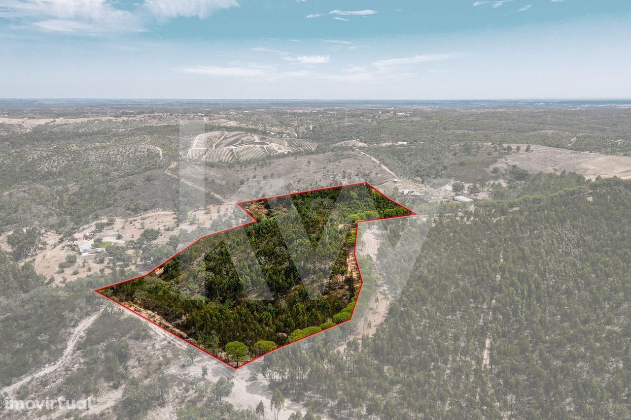 Terreno com Ruina de 138m2 e Montado de Sobro com 4.95 - ha - Litoral