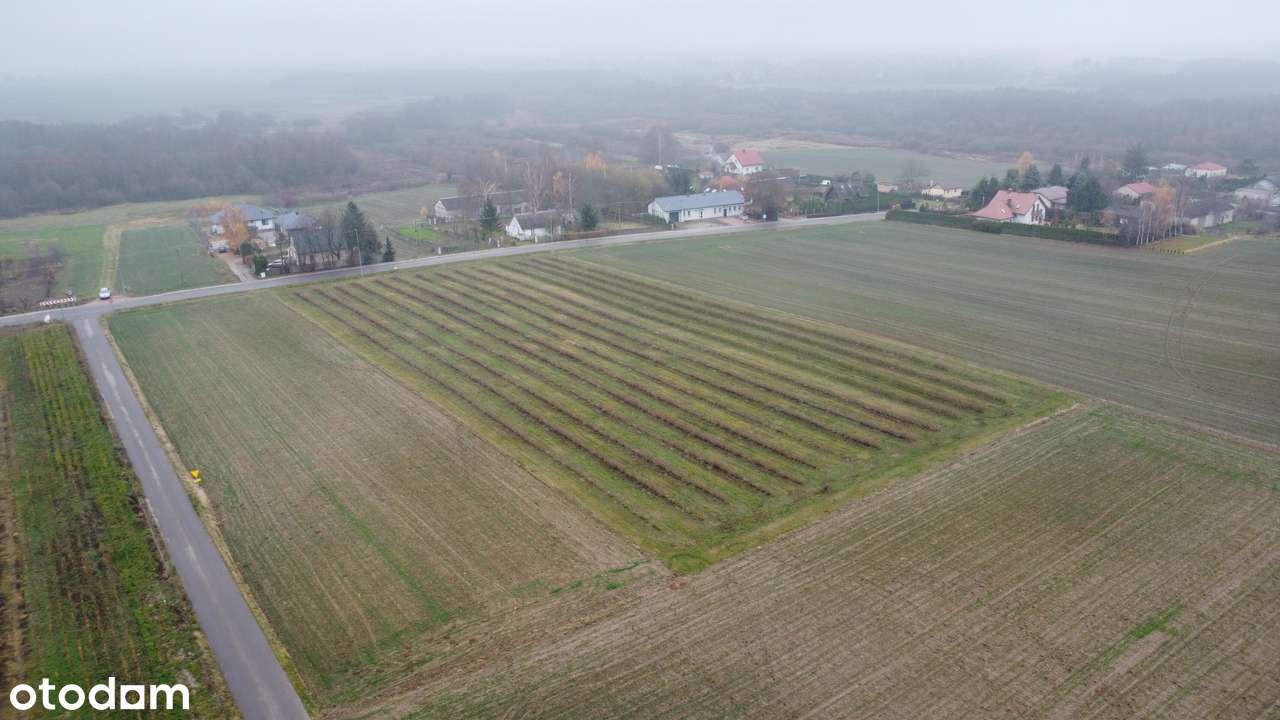 Kompleks  pięciu działek budowlanych Ożarów, gm. Jastków-3