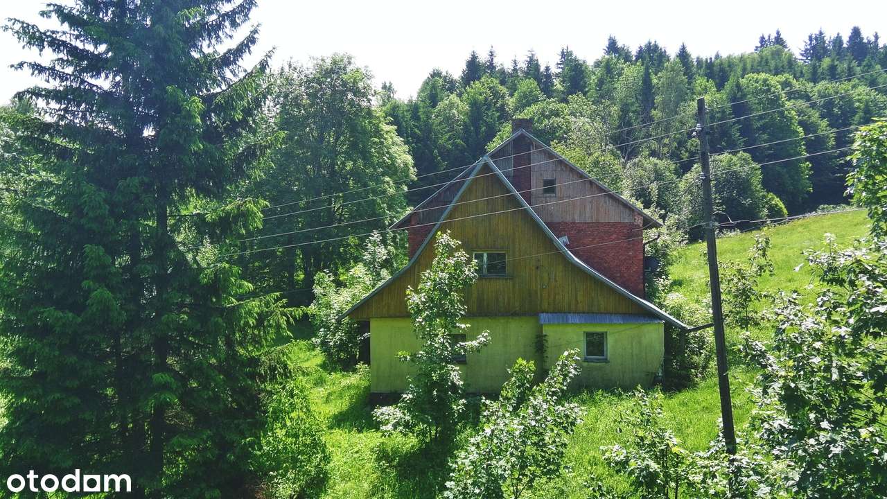 Na Sprzedaż Pięknie Położony Grunt Budowlany w Kotlinie Kłodzkiej - Pełny obrazek: 5/20