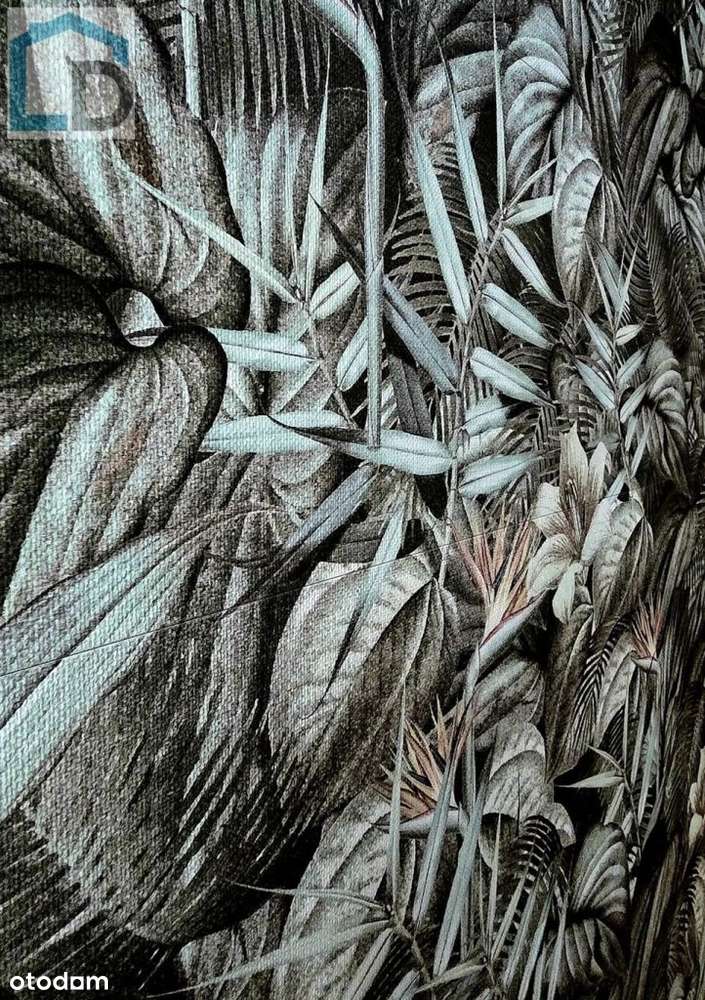 3 pokojowy apartament na wynajem na ul. Urodzajnej - Pełny obrazek: 5/20