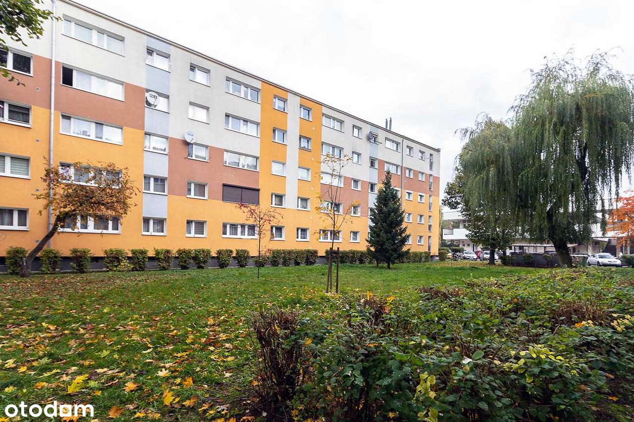 2-pokojowe mieszkanie | oddzielna kuchnia | Grunwald-19