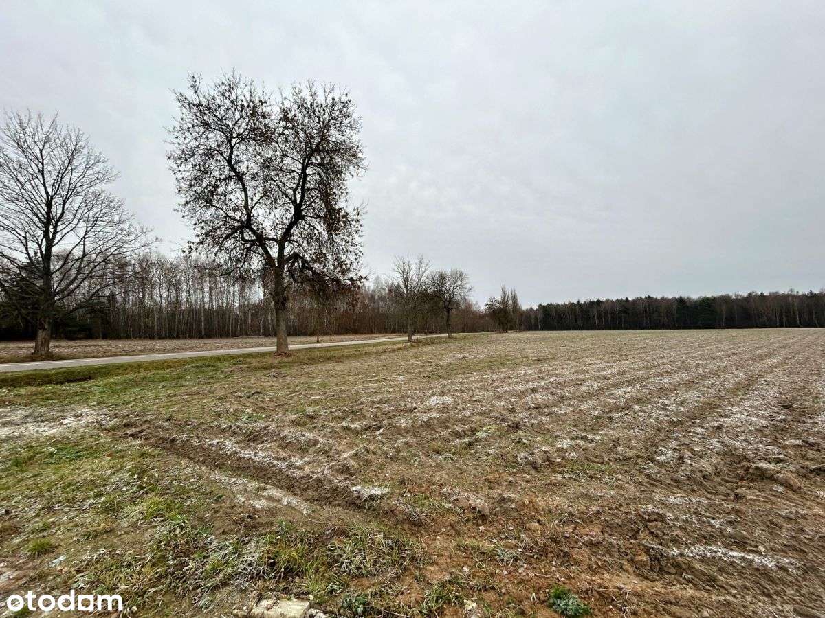 1513m2 z WZ okazja Łaziska gm. Jakubów-3