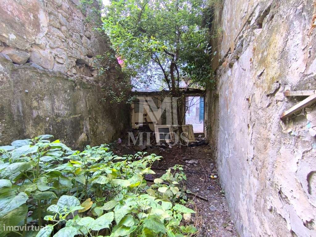 Ruina no Centro Histórico - Viana do Castelo - Grande imagem: 5/7
