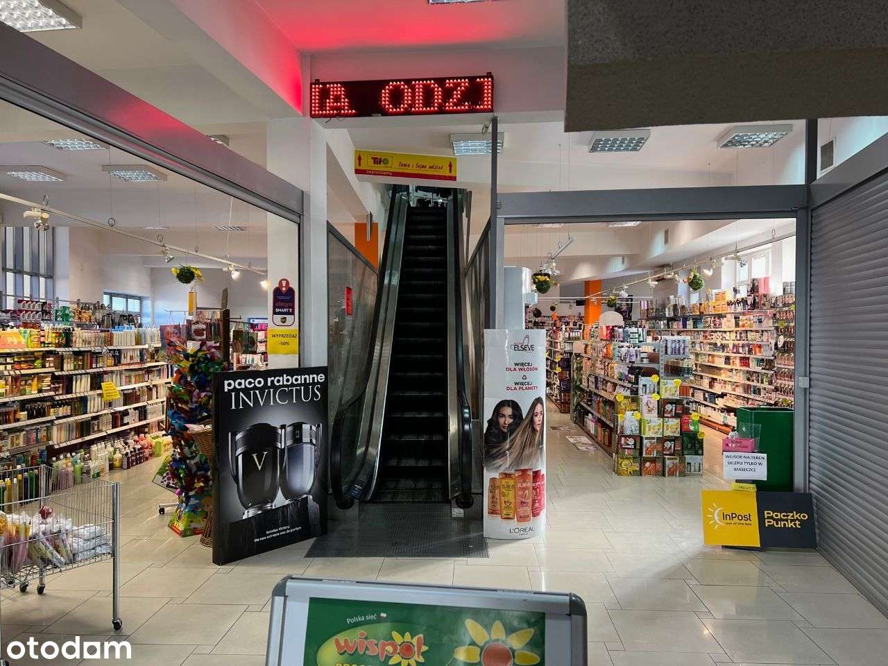 Lokal 300m2 w centrum Dębicy - Pełny obrazek: 4/4