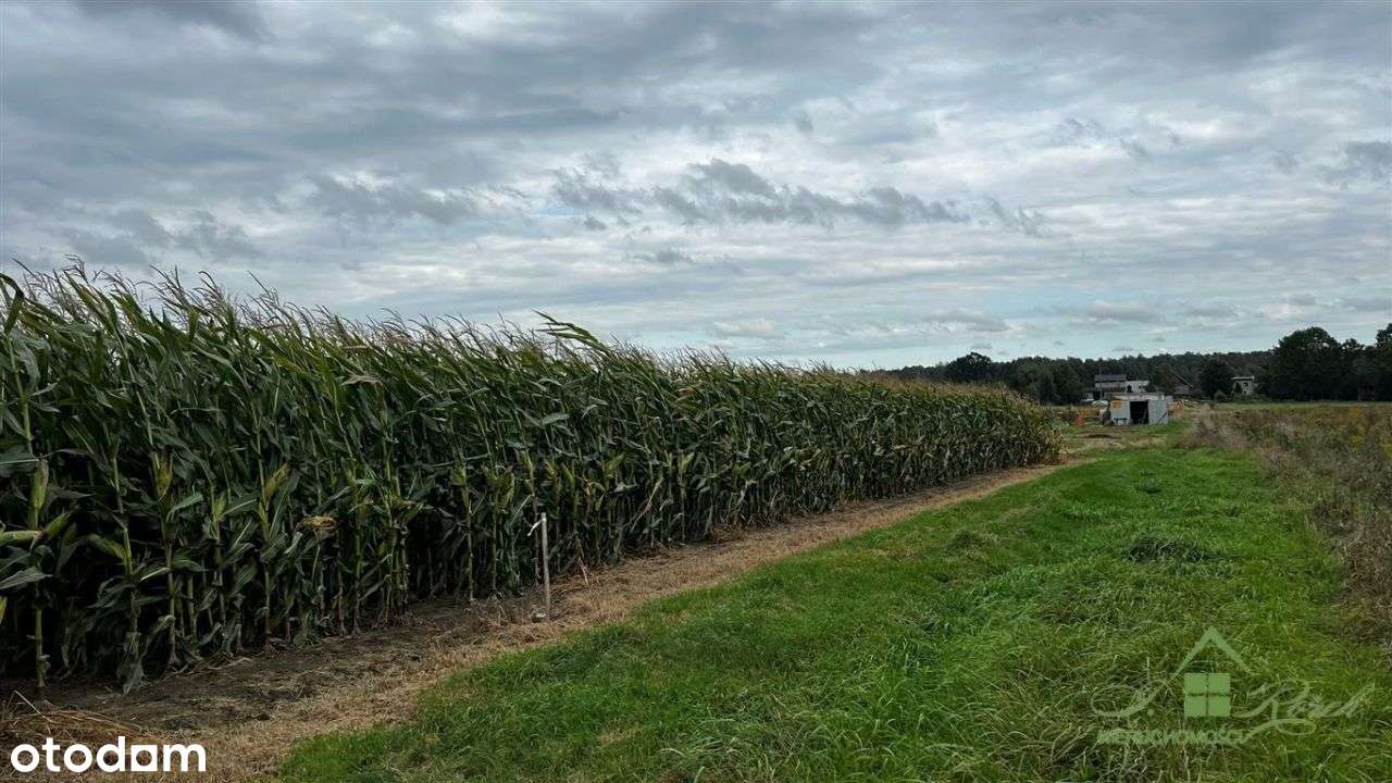 Działki Budowlane Mościska 3656M2-10