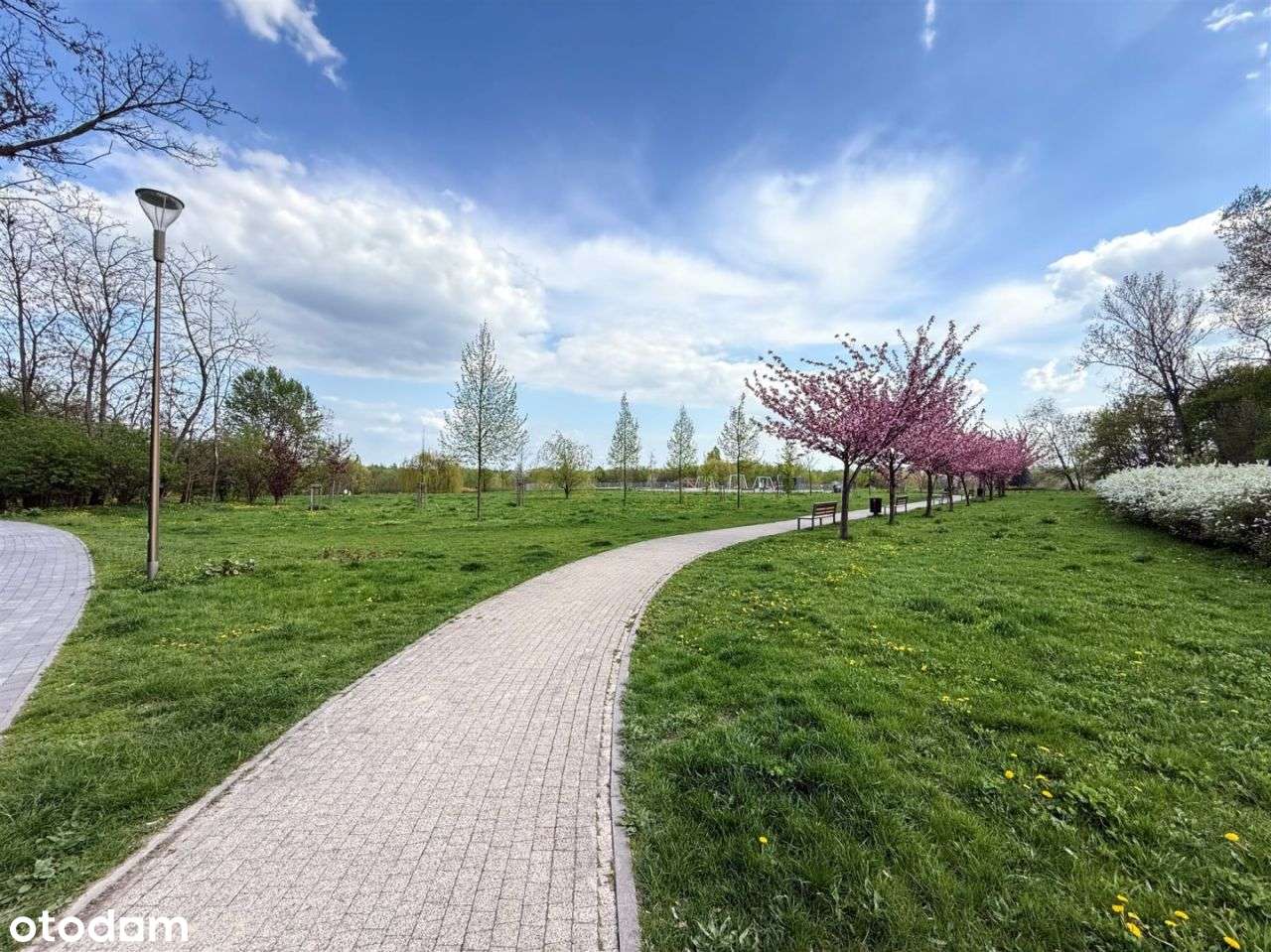 ❤️ 2 Balkony ! Z Pięknym Widokiem ! Idealne M ! - Pełny obrazek: 5/11