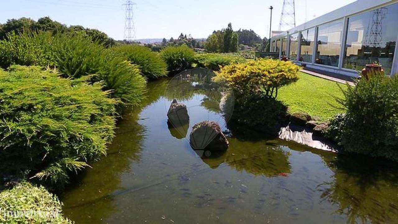 Quinta T3 para venda-8