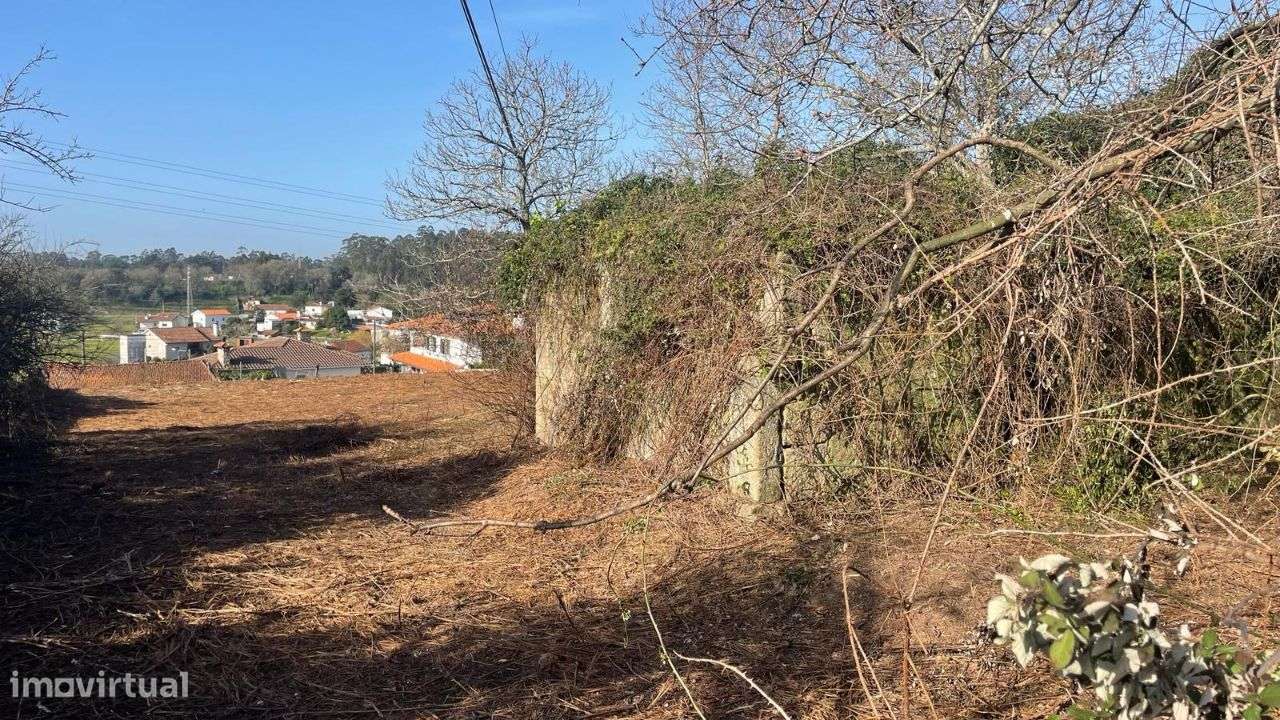 Terreno para Construção com Vista Rio em Gemeses - Grande imagem: 4/5