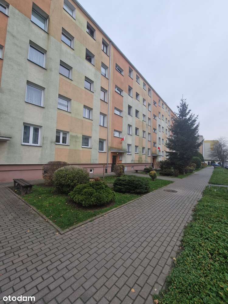 Wyremontowane i wyposażone mieszkanie, 3 pokoje w bloku-7