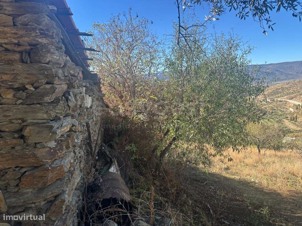 Casa de campo para restaurar com terreno em Torre de Moncorvo. - Grande imagem: 5/13