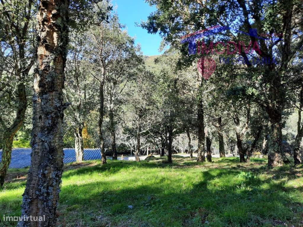 Edifício para transformar, em Figueiró dos Vinhos - Grande imagem: 5/8