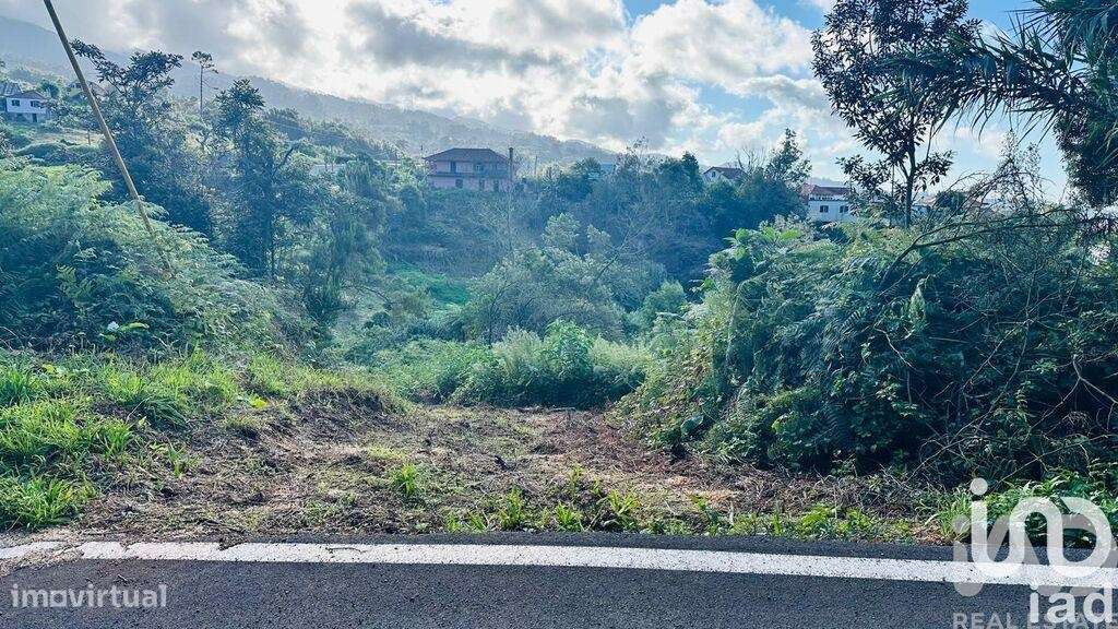 Terreno Agrícola em Santana - Grande imagem: 5/39