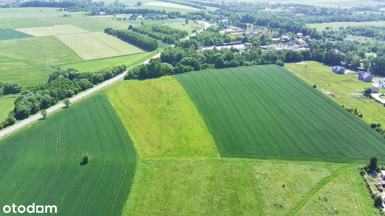 Na Sprzedaż Grunt Pod Produkcję i Usługi przy DK 33-14