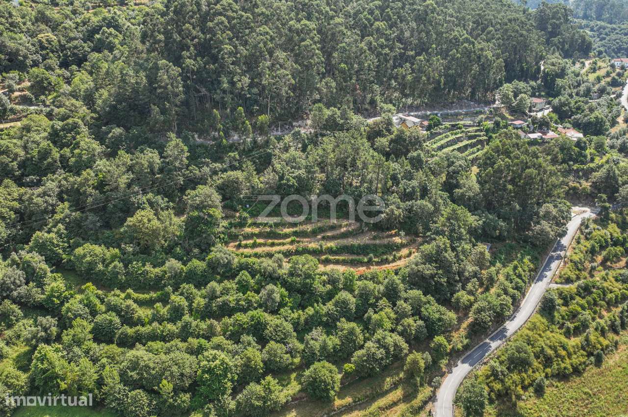 Terreno Rústico com Nascente em Seramil - Grande imagem: 3/16