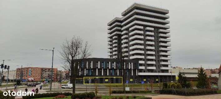 Parter, witryny BEZPOŚREDNIO - Pełny obrazek: 4/5