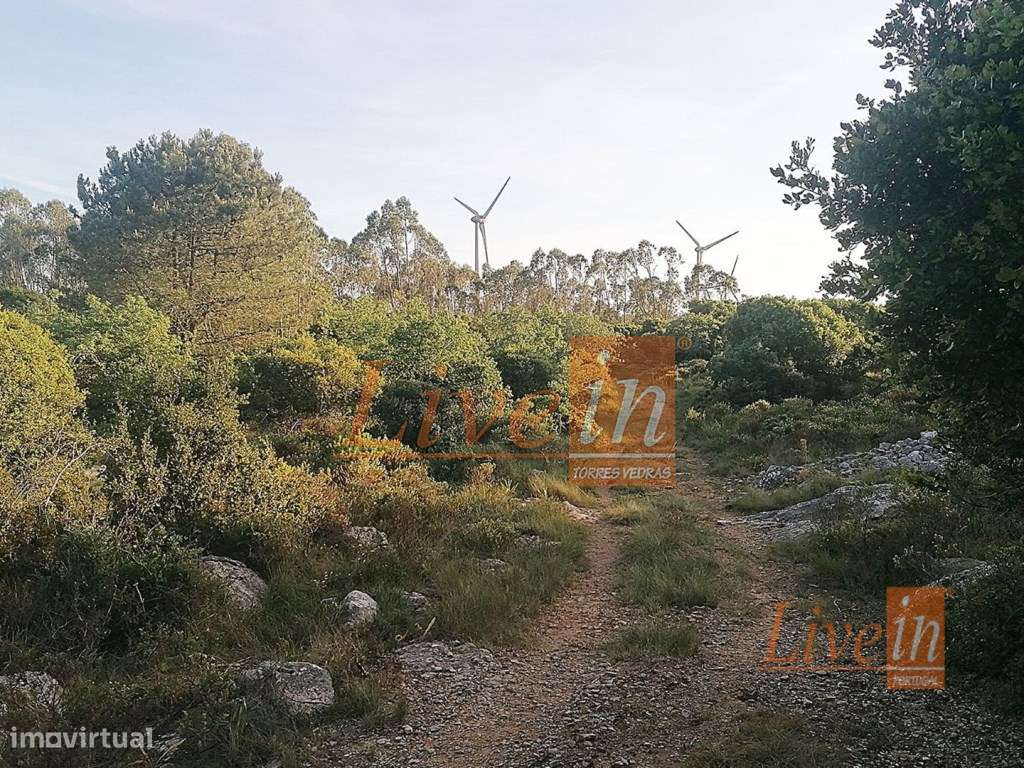Terreno Rústico com 10080 m² na Lourinhã - Grande imagem: 5/9