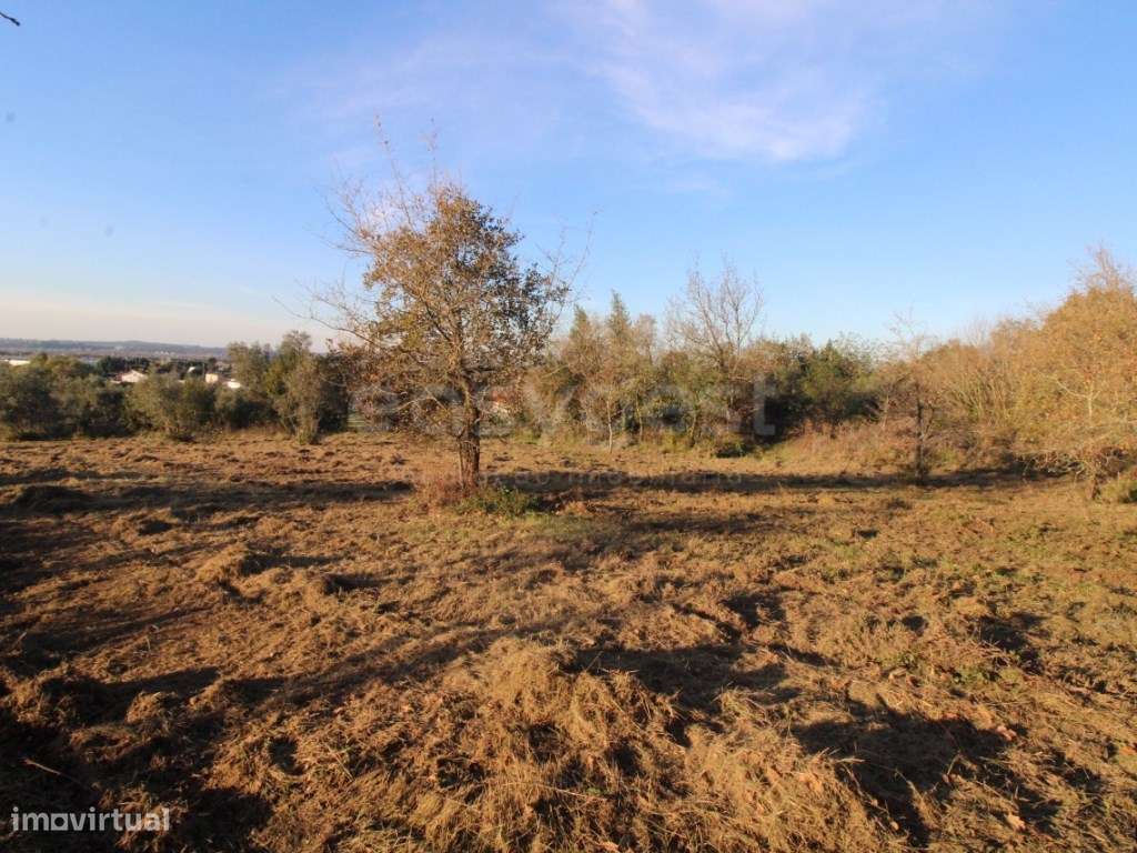 Terreno situado em Telhões, União das Freguesia de Taveiro, Ameal e... - Grande imagem: 4/11