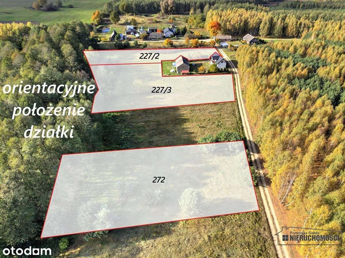 Działka pod lasem na raty - Piaseczno-8