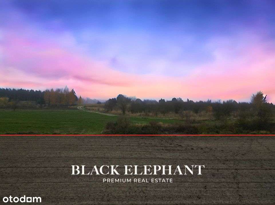 Działka inwestycyjna na wzgórzu - Pełny obrazek: 4/5