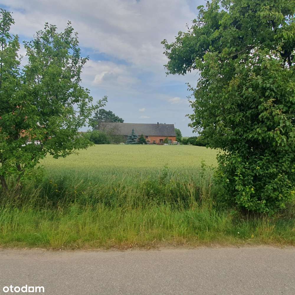 Trzemeszno koło Krotoszyna- działka budowlana 4549 m2 - Pełny obrazek: 5/12