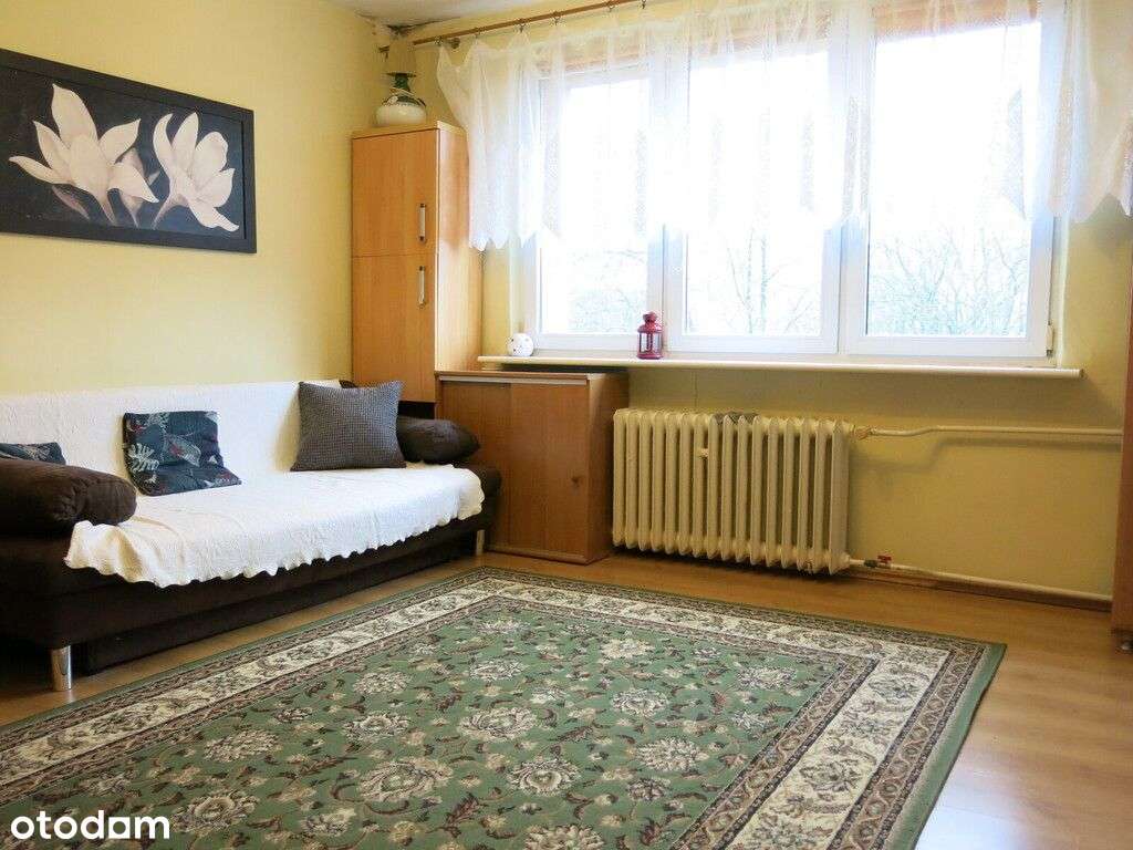 Kawalerka, ul. Grodzka, z widokiem na skwer!-1