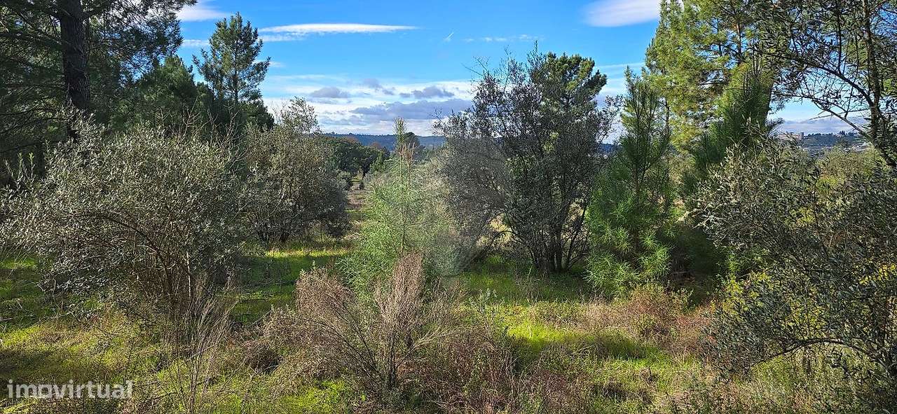 Terreno  para venda - Grande imagem: 2/16