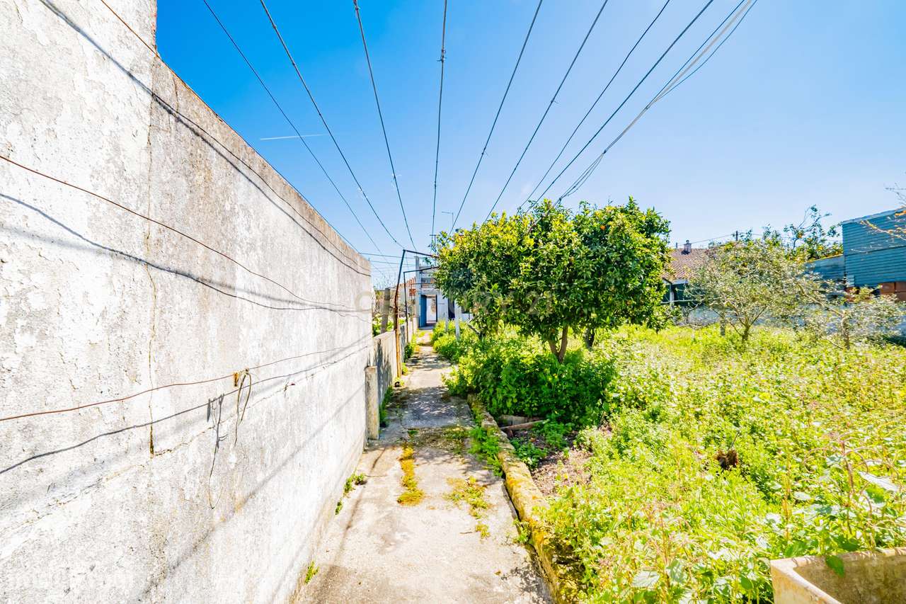 Moradia T3 com Quintal Amplo, Garagem e Anexo – Zona Tranquila da Moit-51