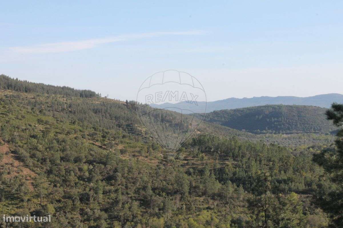 Terreno  para venda - Grande imagem: 4/6