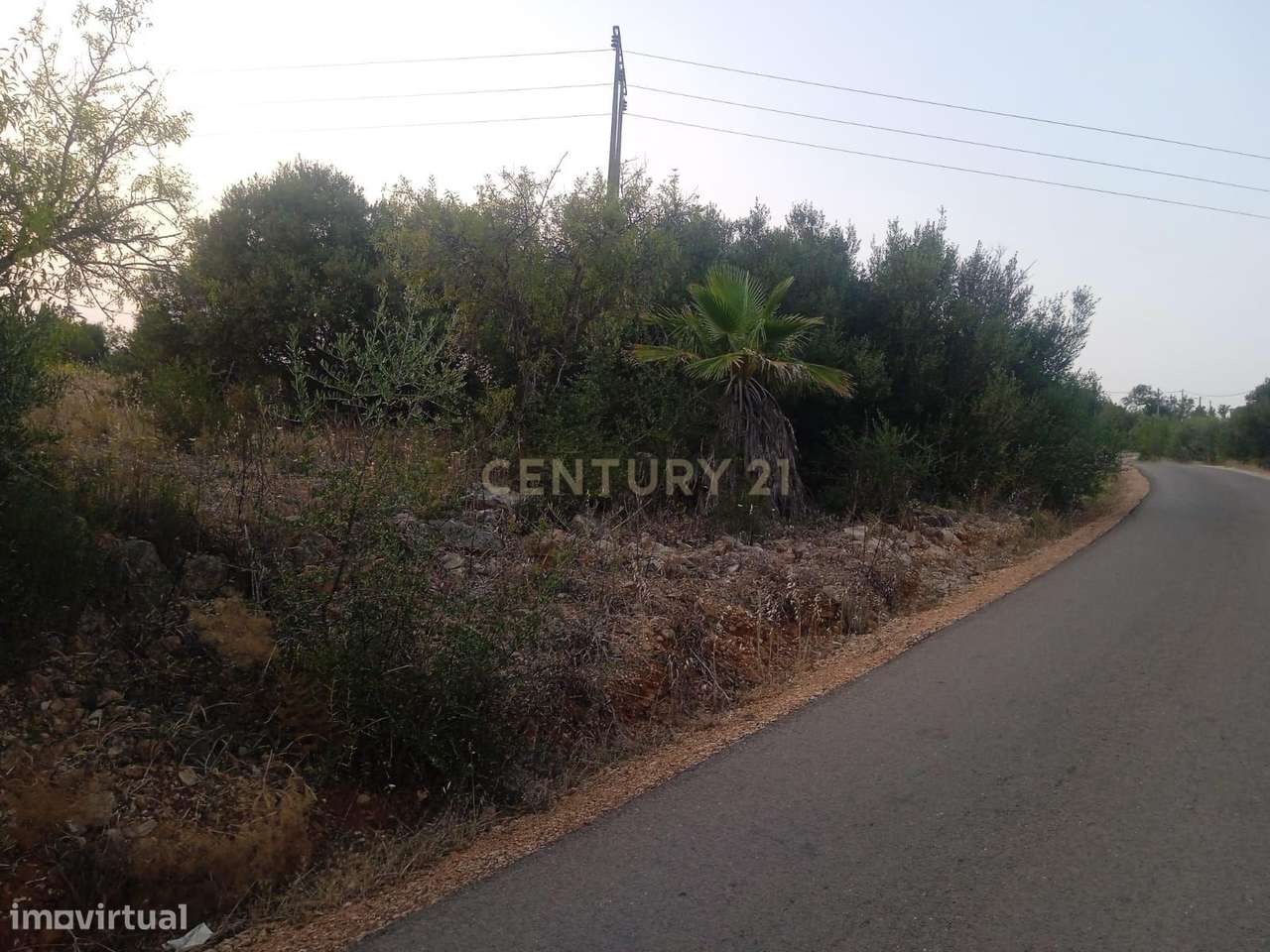 NÃO PERCA ESTA GRANDE OPORTUNIDADE! - Grande imagem: 4/5