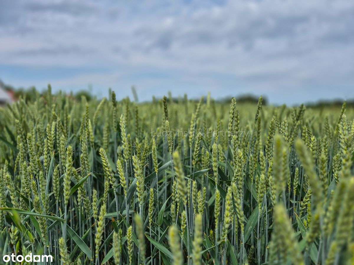 Spokojne miejsce pod agroturystykę-4