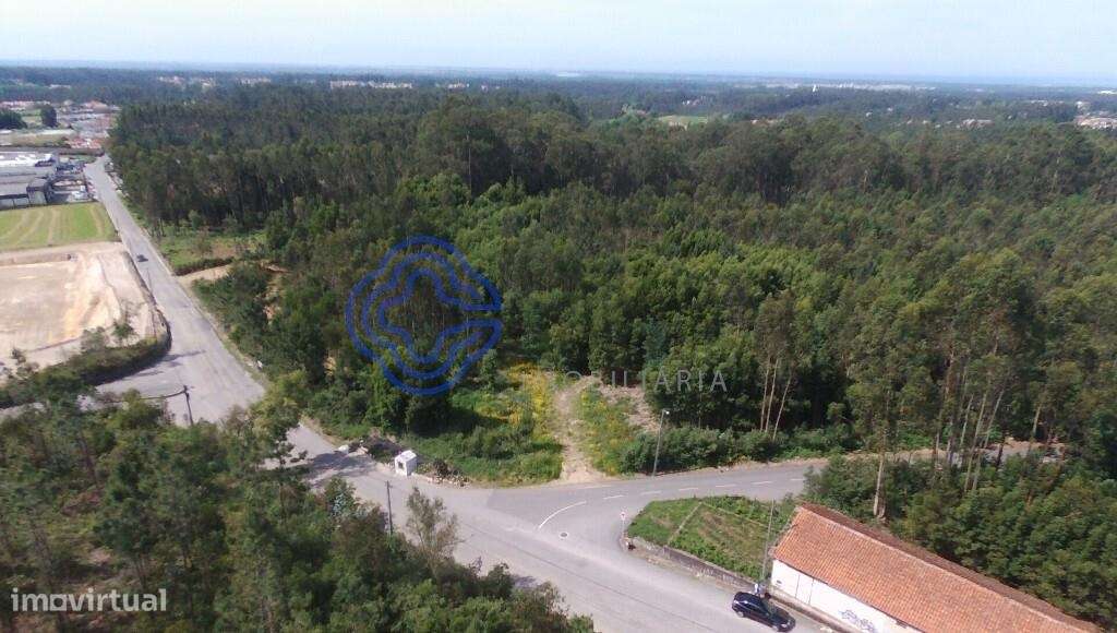 Terreno Industrial em São Vicente Pereira com 24 400metros - Grande imagem: 3/10