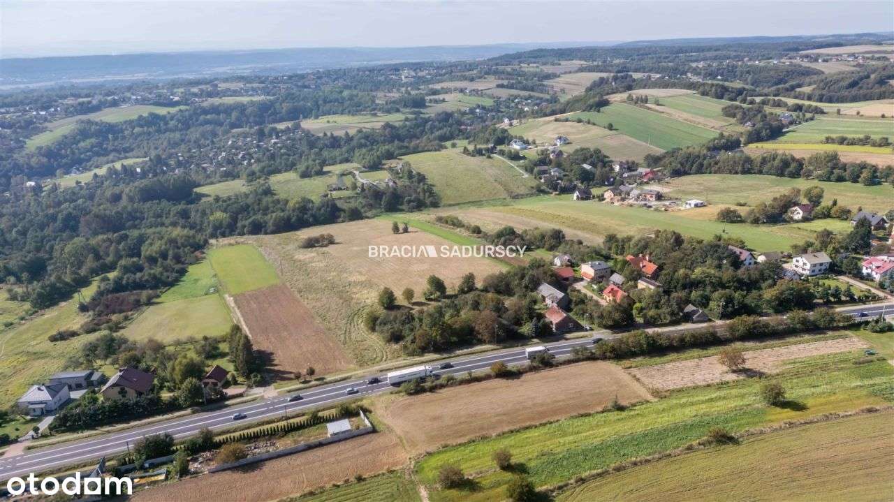 Działka budowlana/98 ar/Wierzchowie/Wielka Wieś - Pełny obrazek: 4/11