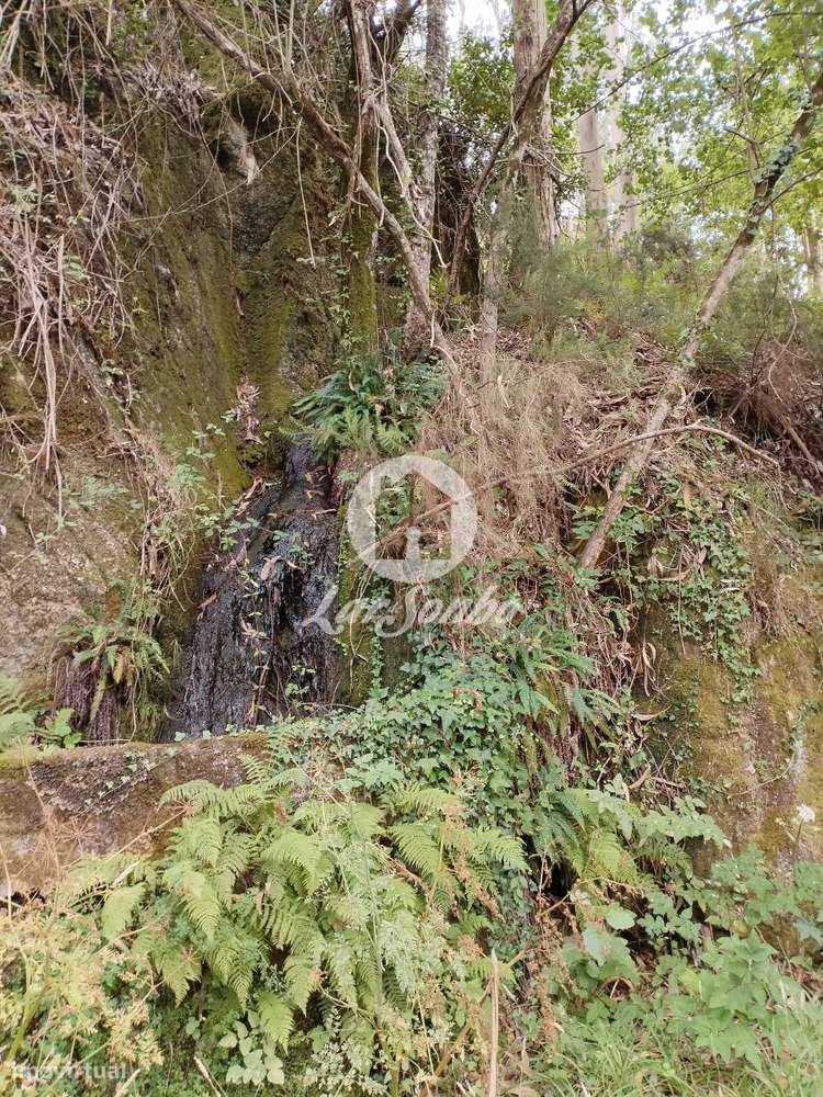 Terreno Caçarilhe Celorico de Basto - Grande imagem: 3/7