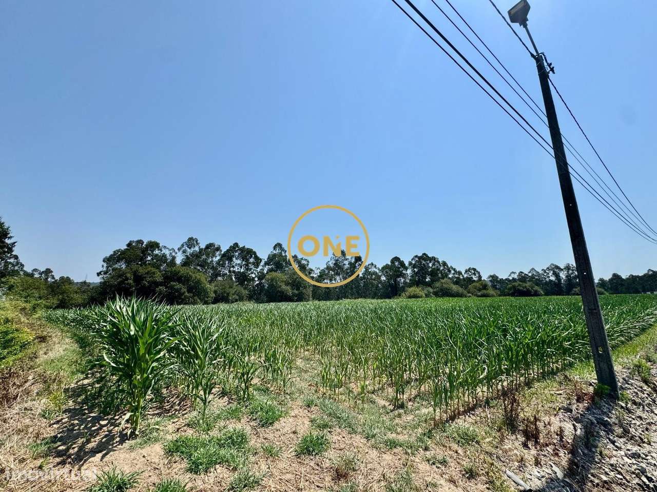 Terreno rústico com viabilidade de construção em Covelas, Trofa-8