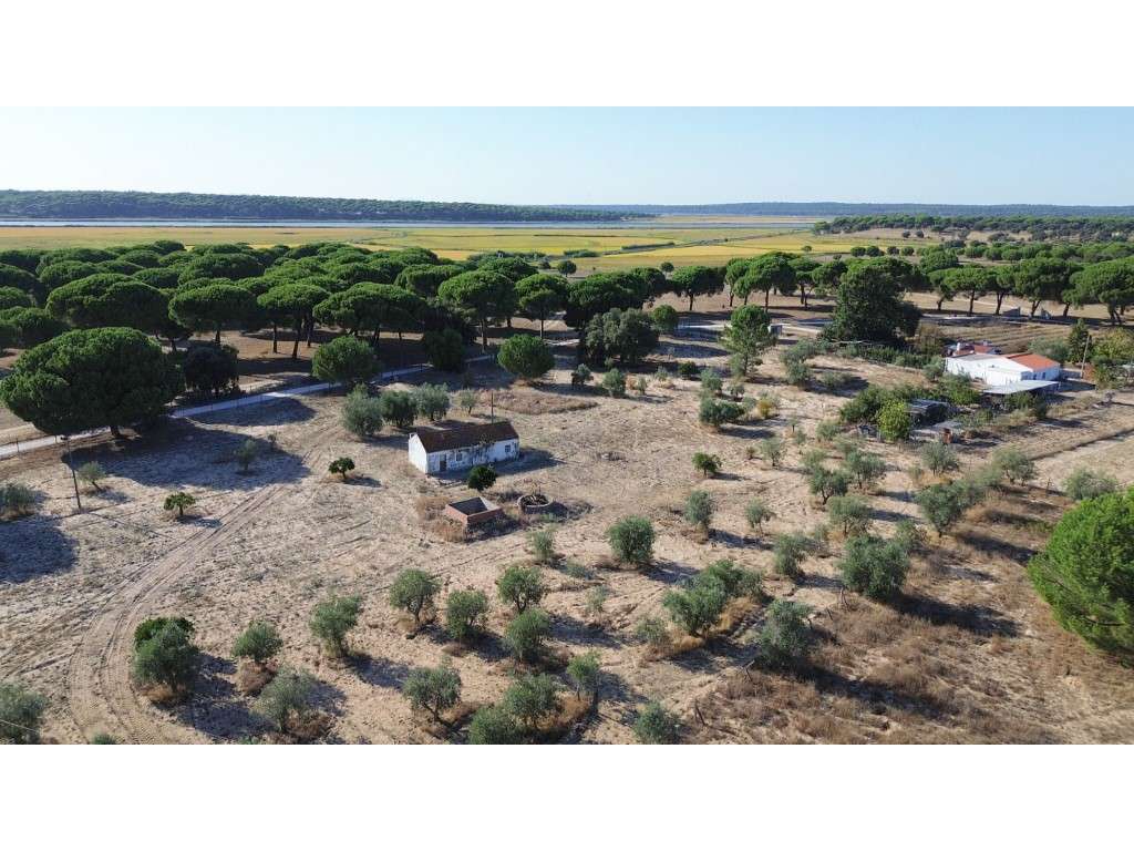 Terreno com Projeto Turístico Aprovado em Alcácer do Sal-0