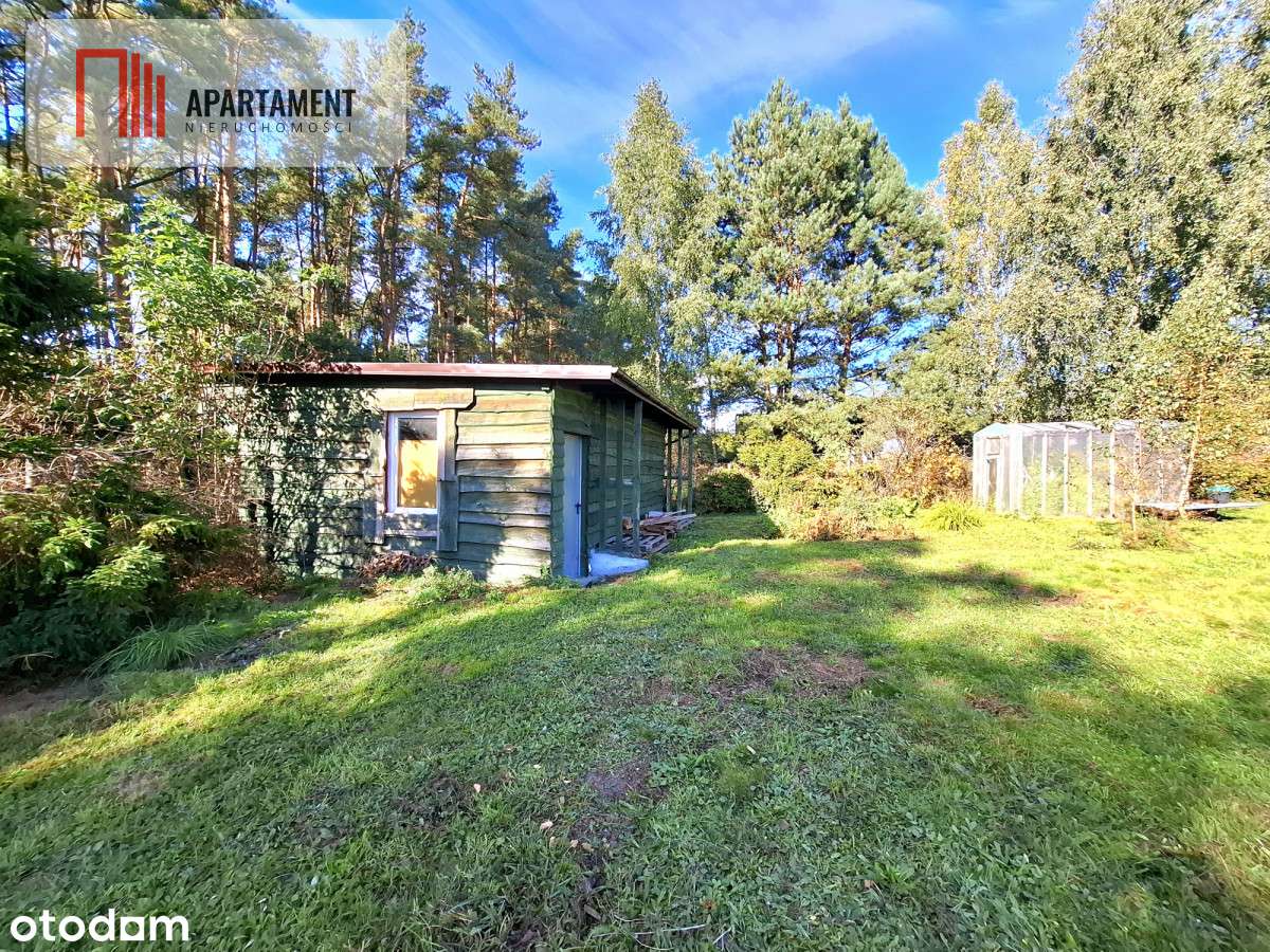 Tu zaczyna się Waszą historia dom w sercu natury - Pełny obrazek: 5/20