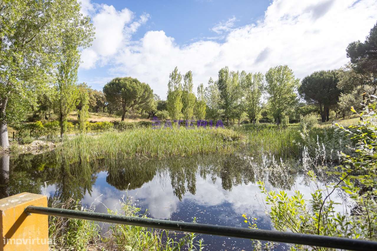 Quinta T8 Mata do Duque 2-51