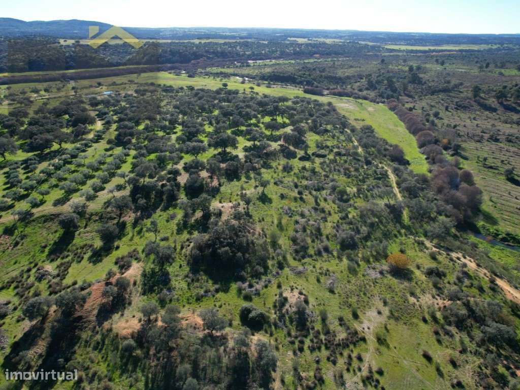 Propriedade com 24ha à beira rio. - Grande imagem: 3/33