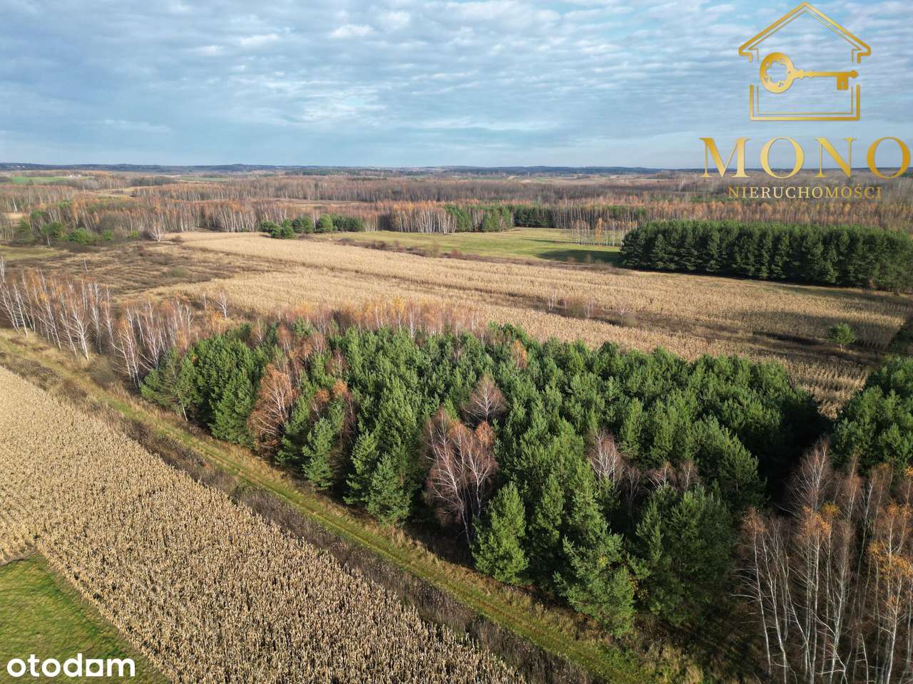 Działka 1,61 ha ok. 10 km od Buska-Zdrój-11