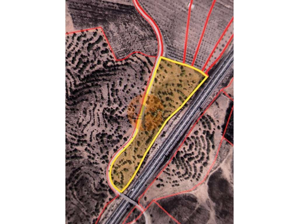 TERRENO RUSTICO COM 22.320 M2 - POSSIBILIDADE DE CONSTRUIR APOIO AG... - Grande imagem: 2/37