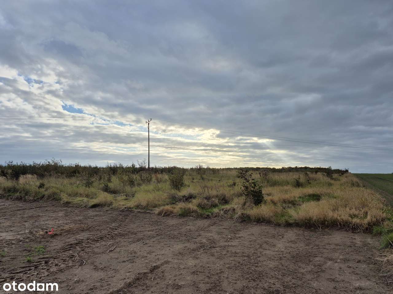 Działka z wydanymi warunkami zabudowy - 99 000 PLN - Pełny obrazek: 5/19