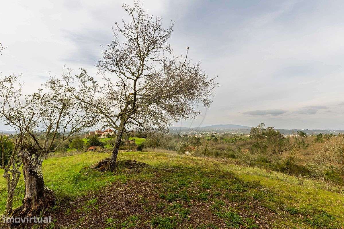 Terreno  para venda - Grande imagem: 5/19